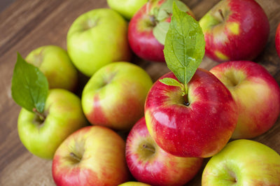 Fun Food Facts - Fun Food Facts