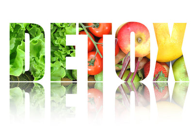 The Key Organs of Detox - The Key Organs of Detox