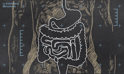 Suspect Candida? Seven Steps for What to Do About It - Suspect Candida? Seven Steps for What to Do About It