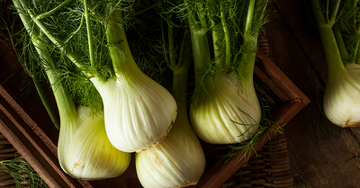 Eat It All! Fennel - Eat It All! Fennel