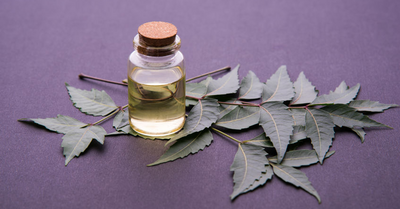 Maybe You Need Neem Oil - Maybe You Need Neem Oil