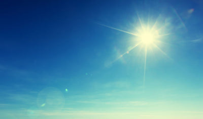 Are You Low in Vitamin D? - Are You Low in Vitamin D?