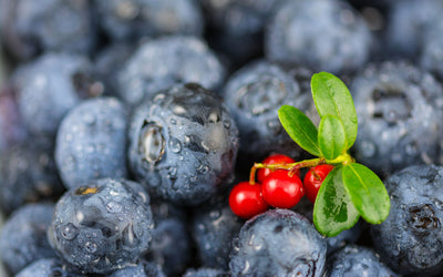 Get your power berries here - Get your power berries here