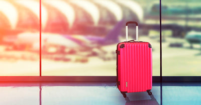 Haylie's Personal Travel Survival Plan - Haylie's Personal Travel Survival Plan