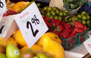 Now what? Day 29 of the Fast Metabolism Diet - Now what? Day 29 of the Fast Metabolism Diet