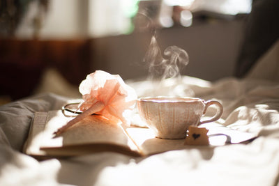 Haylie's favorite herbal teas - Haylie's favorite herbal teas