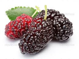 Two healthful and delicious fruits to try - Two healthful and delicious fruits to try