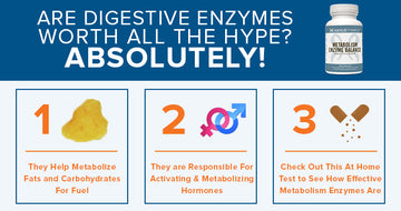 Metabolism Enzyme Balance Infographic