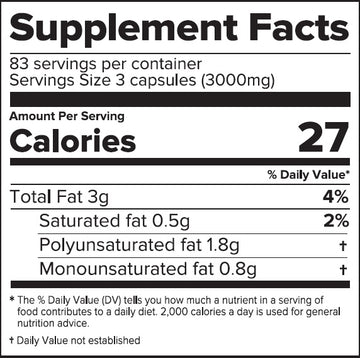 Metabolism Fatty Acids