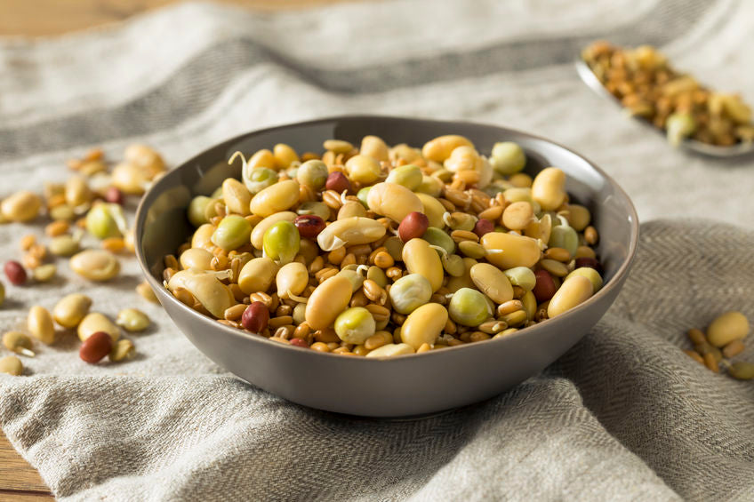 Sprouting Nuts, Seeds and Beans – Haylie Pomroy