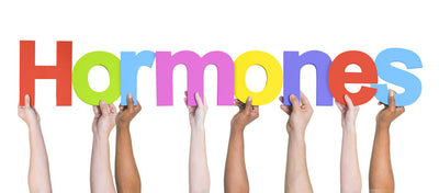 How Your Hormones & Mood are Related - How Your Hormones & Mood are Related