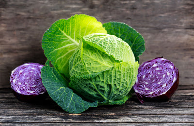 Cabbage: A nutritional powerhouse - Cabbage: A nutritional powerhouse