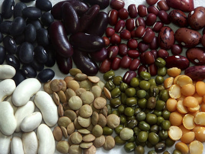 The Magical Fruit: Beans Nutrition Comparison - The Magical Fruit: Beans Nutrition Comparison