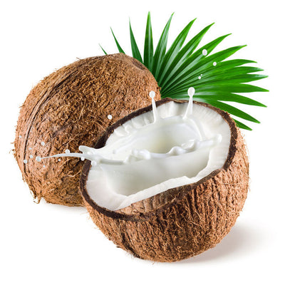 Is It Okay to Use Whole Coconut Milk in Phase 3? - Is It Okay to Use Whole Coconut Milk in Phase 3?