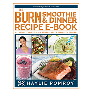 Burn Smoothie & Dinner Recipe E-Book